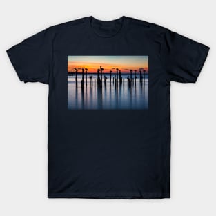 Pelican Silhouettes at Sunset T-Shirt